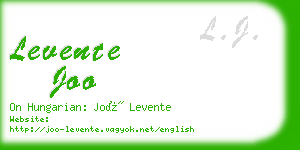levente joo business card